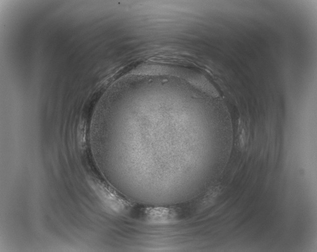 X0000080190230200612081435