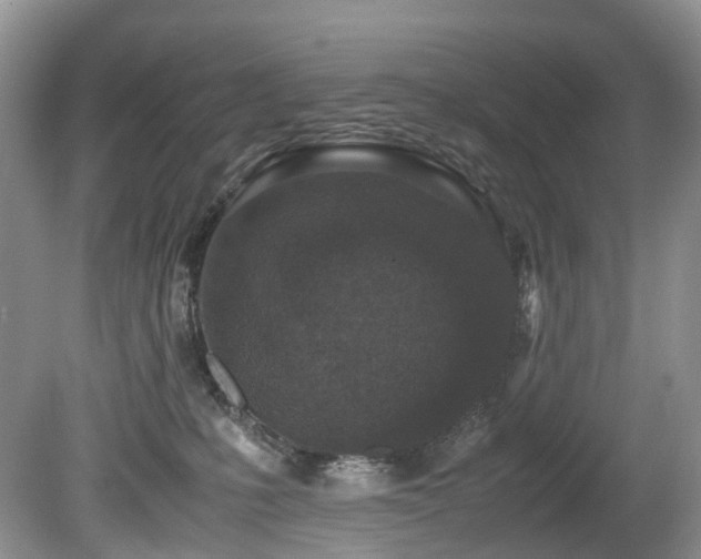 X0000080190231200612081435