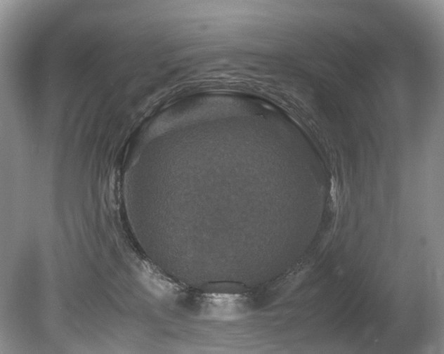X0000080190233200612081435