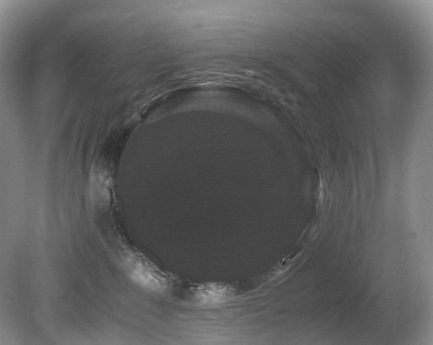 X0000080190235200612081435