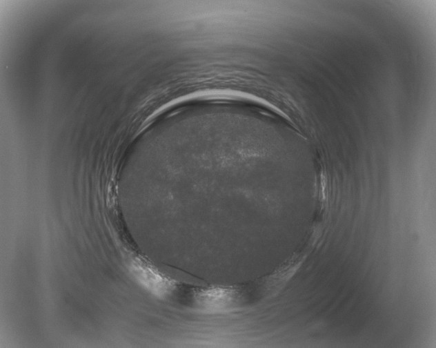X0000080190237200612081435