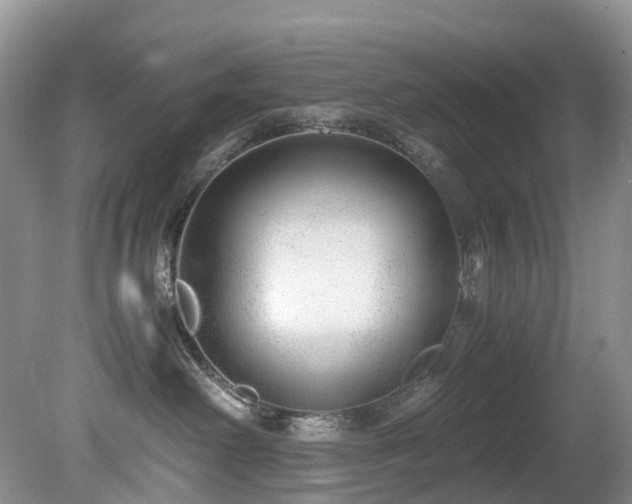 X0000080190238200612081435