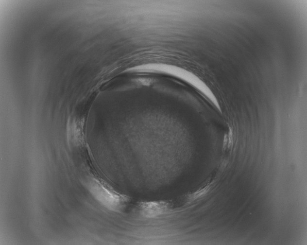 X0000080190239200612081435