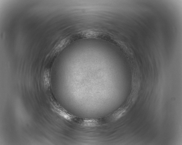X0000080190240200612081435