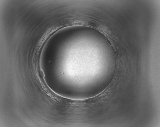 X0000080190241200612081434