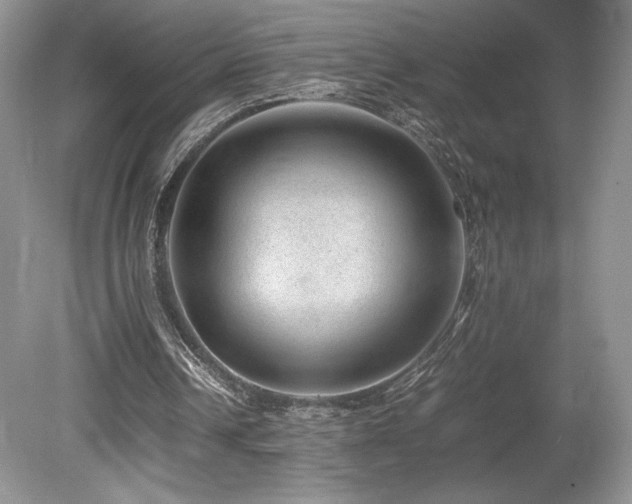 X0000080190242200612081434
