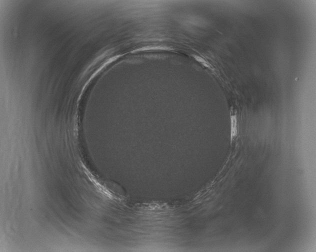 X0000080190243200612081434