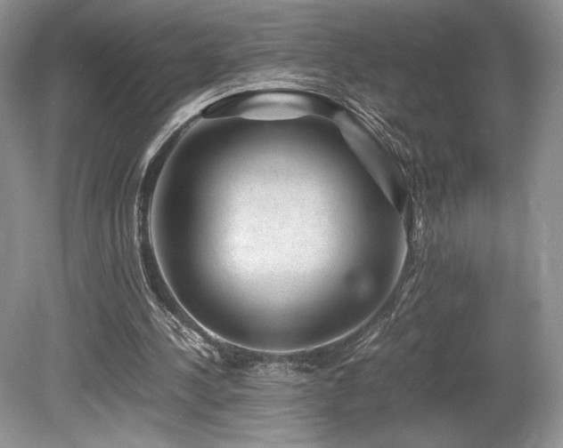 X0000080190244200612081435