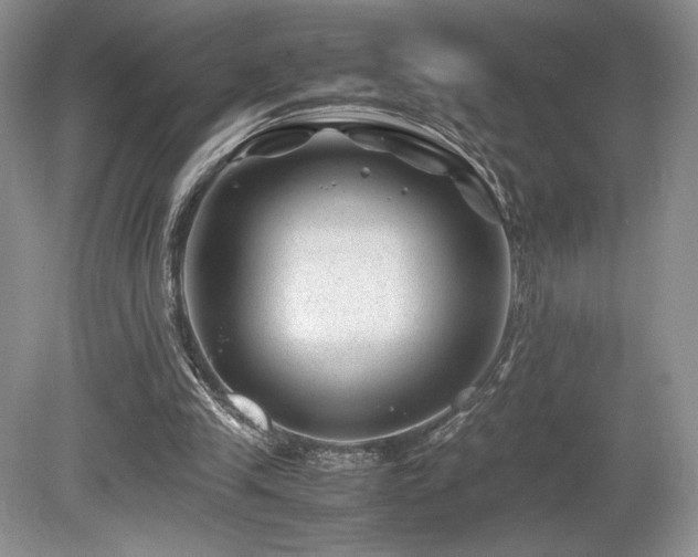 X0000080190245200612081435