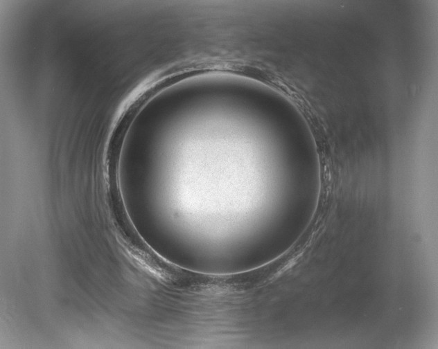 X0000080190246200612081435