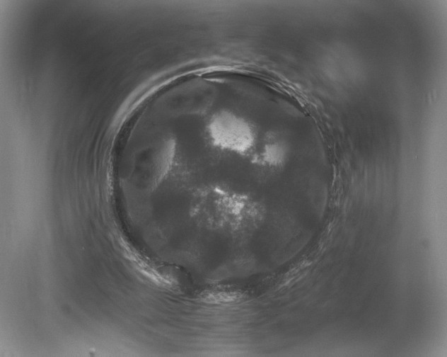 X0000080190247200612081435