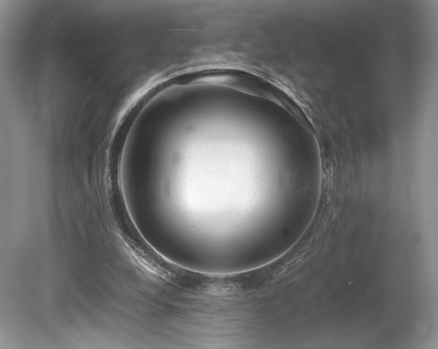 X0000080190248200612081435