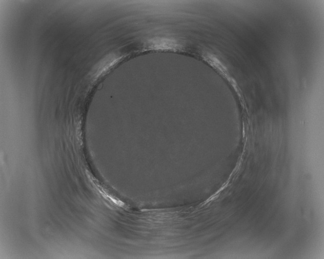 X0000080190249200612081435