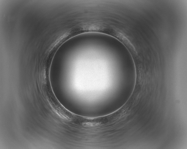 X0000080190251200612081435