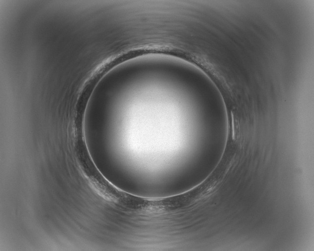 X0000080190252200612081435