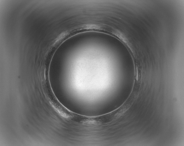 X0000080190253200612081435