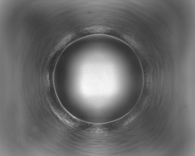 X0000080190254200612081435