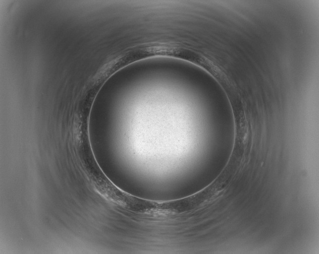 X0000080190255200612081435