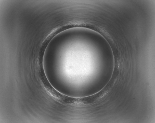 X0000080190256200612081435