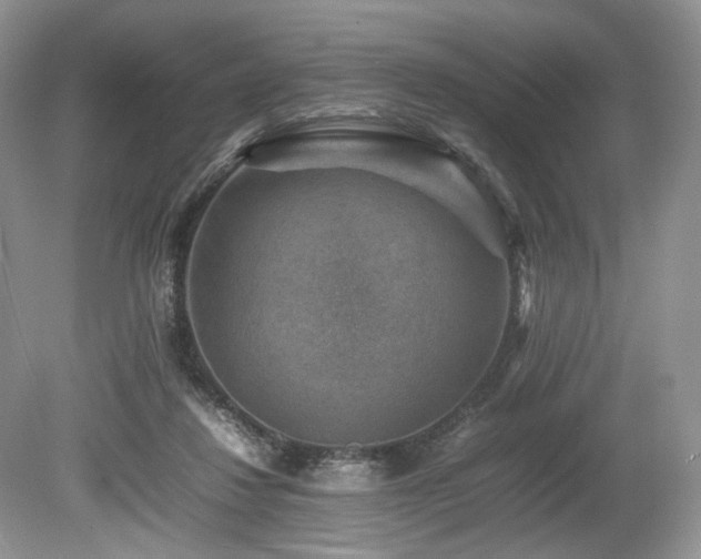 X0000080190260200612081435