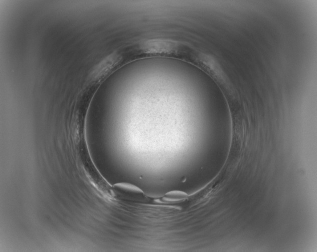 X0000080190261200612081435