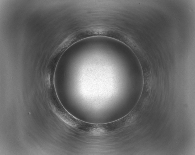 X0000080190262200612081435