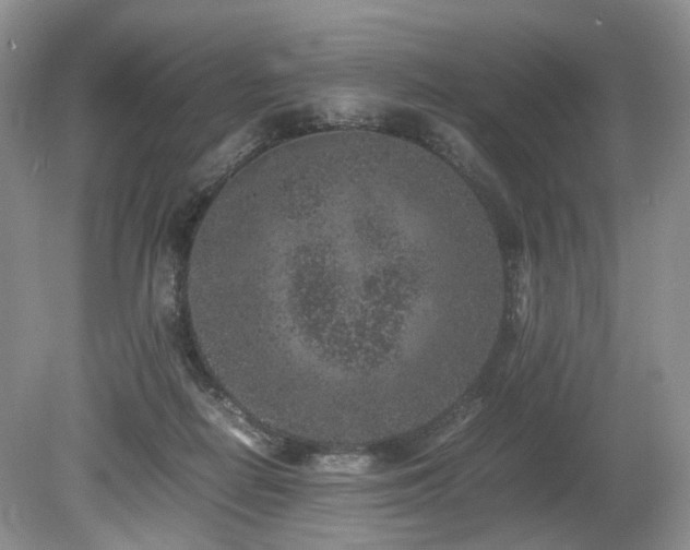 X0000080190266200612081435