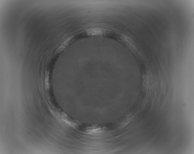X0000080190267200612081435