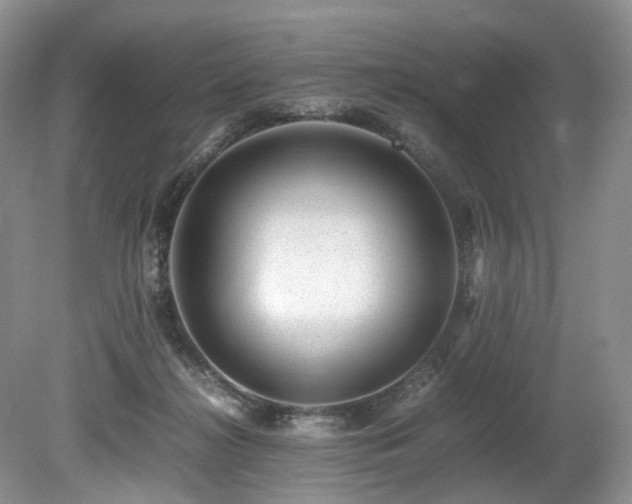 X0000080190268200612081435