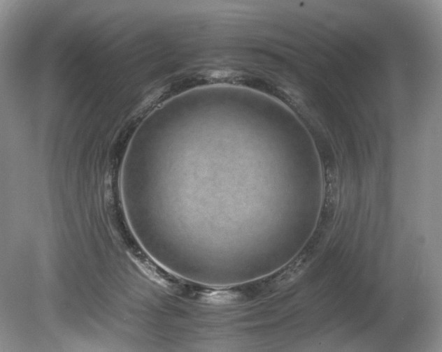 X0000080190269200612081435