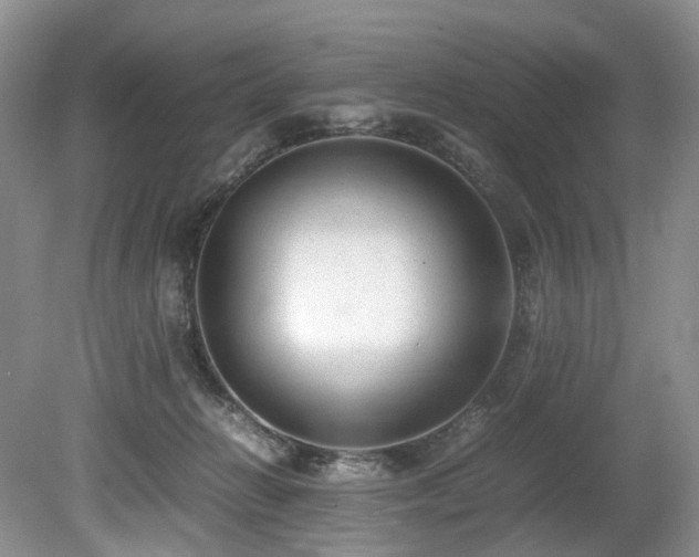 X0000080190270200612081435