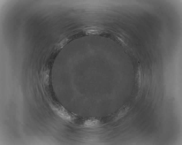 X0000080190271200612081435