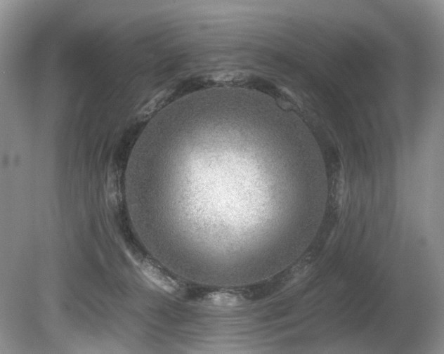 X0000080190272200612081435