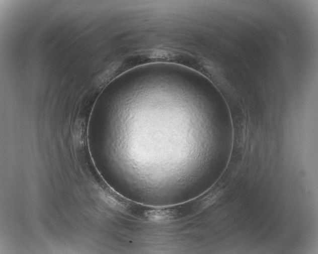X0000080190273200612081435
