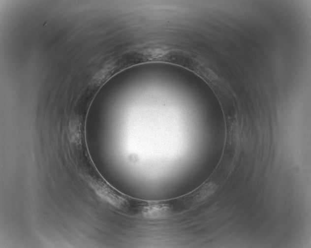 X0000080190274200612081435