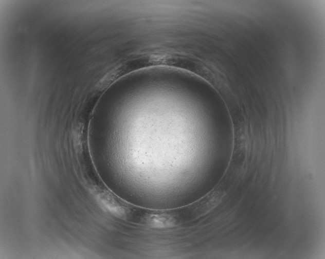 X0000080190275200612081435