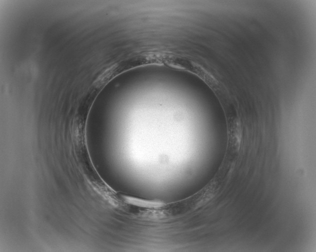 X0000080190276200612081435
