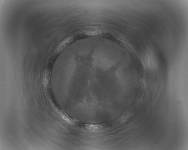 X0000080190277200612081435