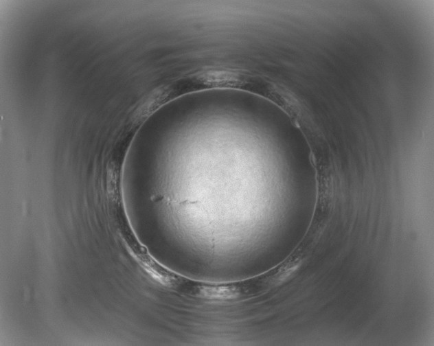 X0000080190281200612081435