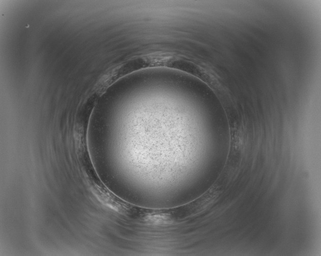 X0000080190283200612081435