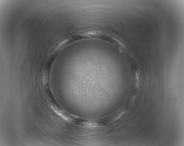 X0000080190284200612081435