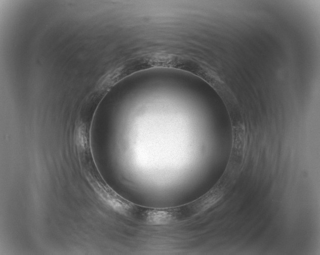 X0000080190287200612081435