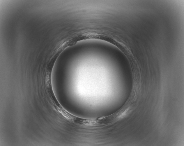 X0000080190288200612081435