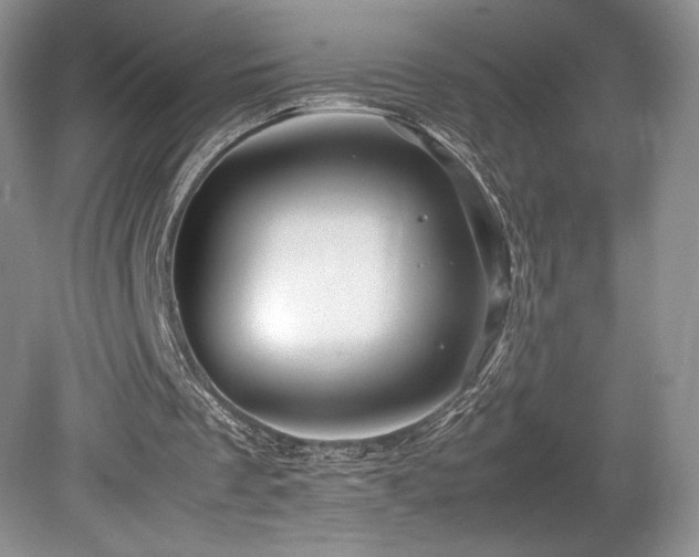 X0000080190289200612081434