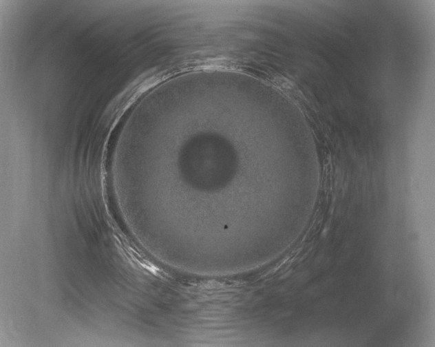 X0000080190290200612081434
