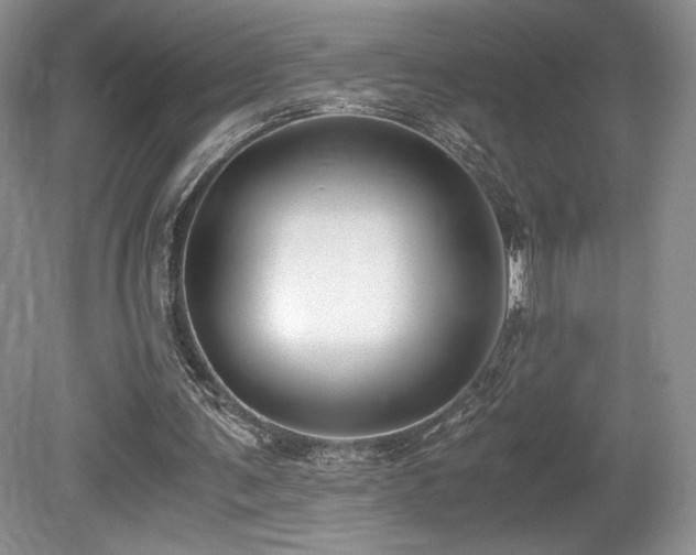 X0000080190291200612081434