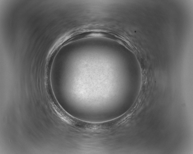 X0000080190293200612081434