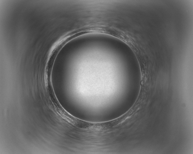 X0000080190294200612081434