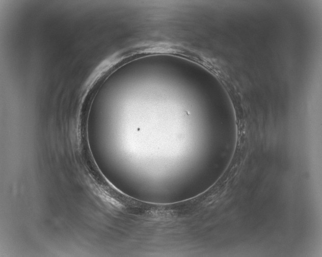 X0000080190296200612081434