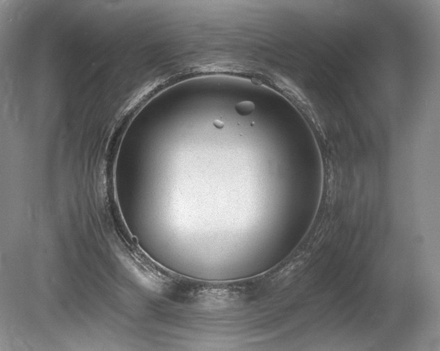 X0000080190298200612081434